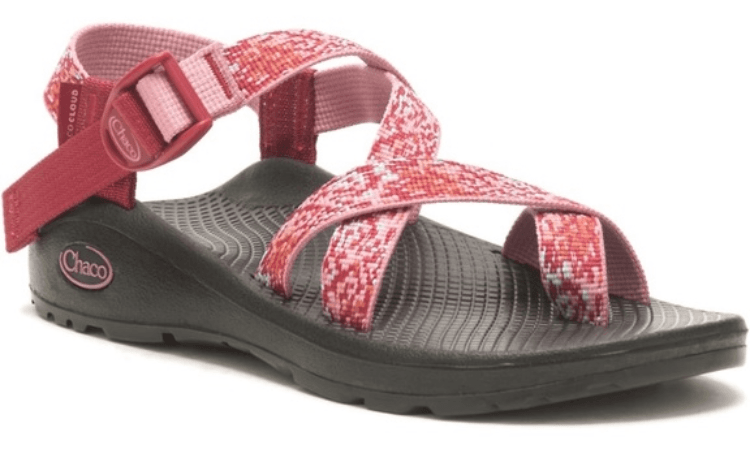 Chaco ZCloud Sandals -image