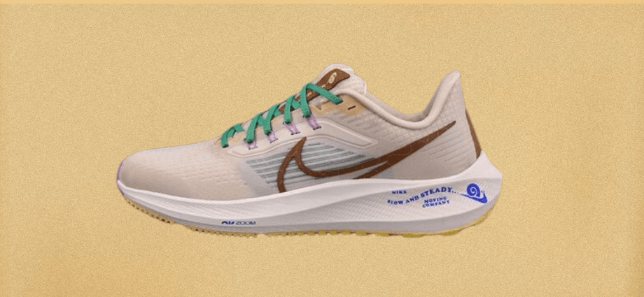 Nike Air Zoom Pegasus 39 Image