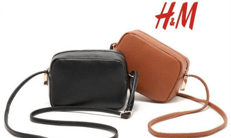 H&M bags-image
