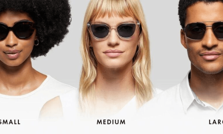 Frame Size and Fit-image