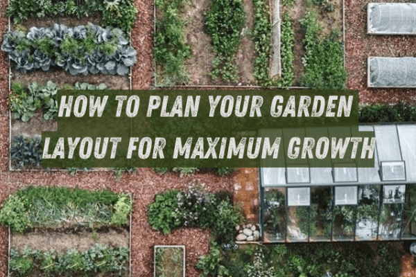 How to Plan Your Garden Layout for Maximum Growth How to Plan Your Garden Layout for Maximum Growth image