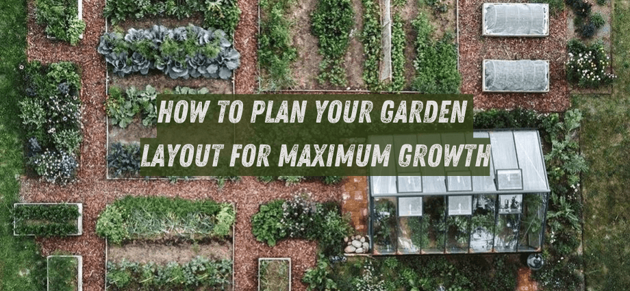 How to Plan Your Garden Layout for Maximum Growth image
