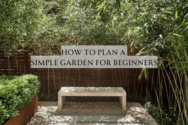 How to Plan a Simple Garden for Beginners How to Plan a Simple Garden for Beginners image