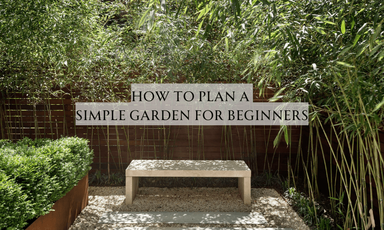 How to Plan a Simple Garden for Beginners image