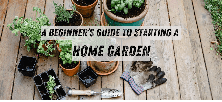 A Beginner’s Guide to Starting a Home Garden image