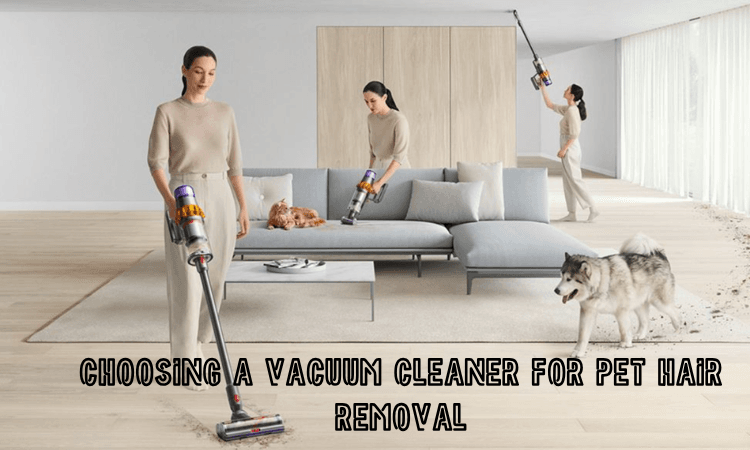 Choosing a vacuum cleaner for pet hair removal-image