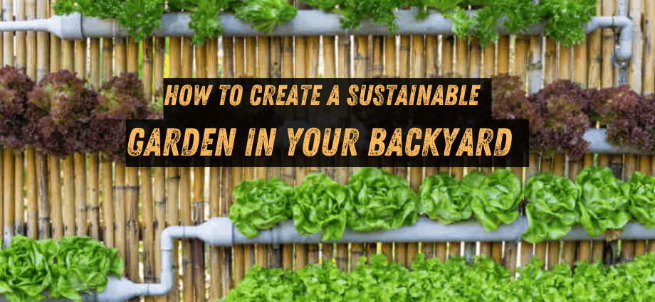 How to Create a Sustainable Garden in Your Backyard image