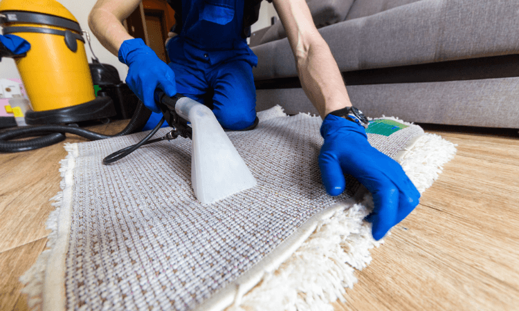 Preventing Build-Up of Dirt and Mold-image