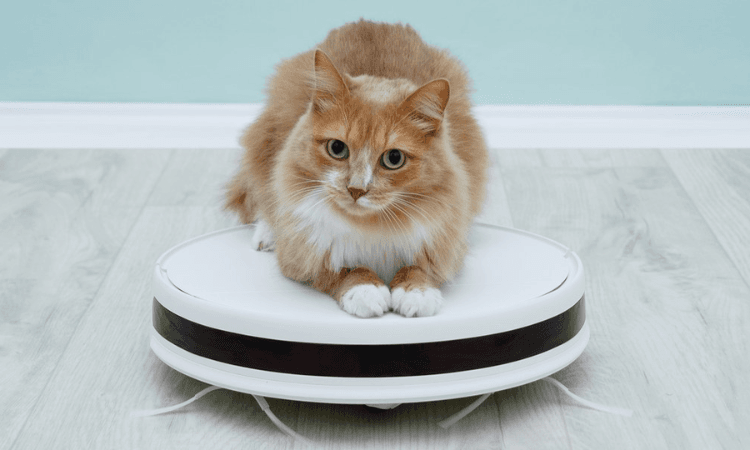 iRobot Roomba 980-image