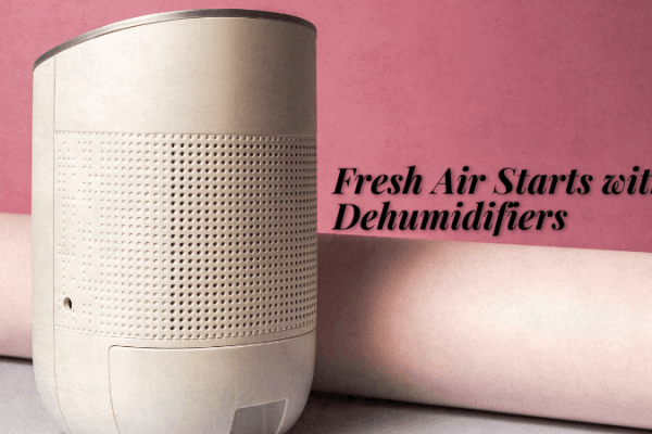 Best dehumidifiers for a comfortable home Best dehumidifiers for a comfortable home