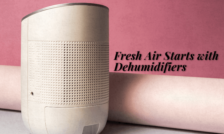 Best dehumidifiers for a comfortable home