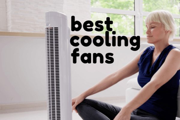 Best fans for cooling and air circulation Best fans for cooling and air circulation