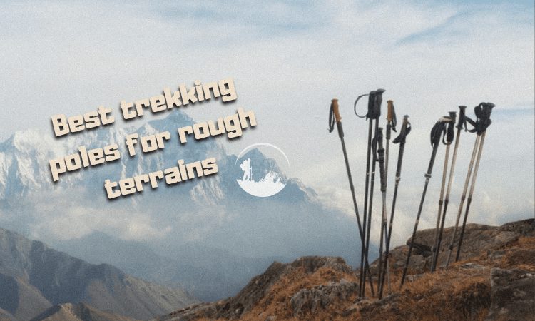 Best trekking poles for rough terrains