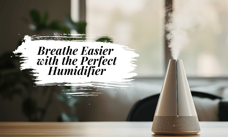 How to choose the right humidifier for your room