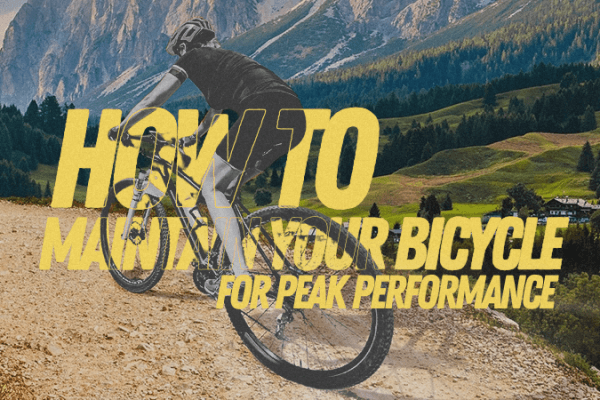 How to maintain your bicycle for peak performance Maintain your bicycle for peak performance