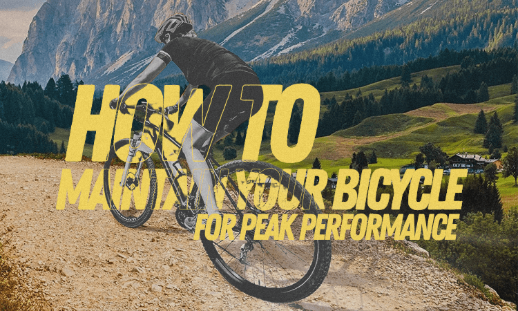 Maintain your bicycle for peak performance